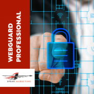 WebGuard Professional Annual Licence
